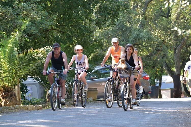 2013_ALBERES_VELO--Auvinet--1-