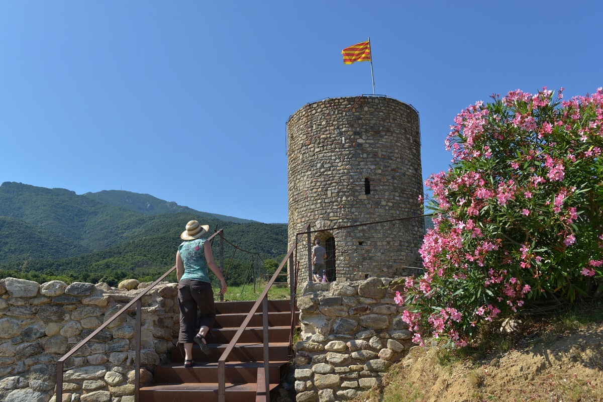 Laroque des Alberes ©Auvinet (12)