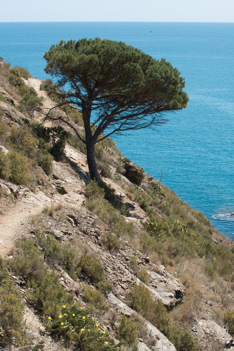 Paysage Méditerranée ©Auvinet (1)