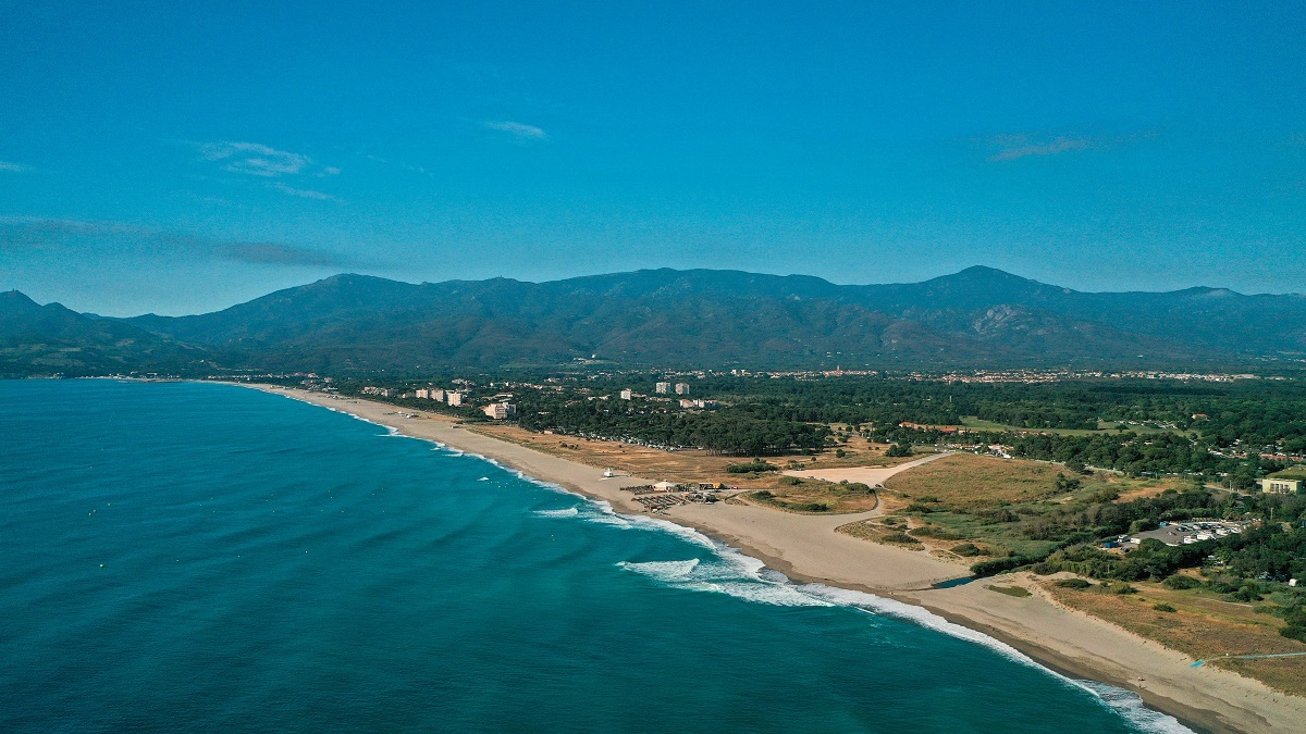 PLAGE ARGELES_COYOTE (5)