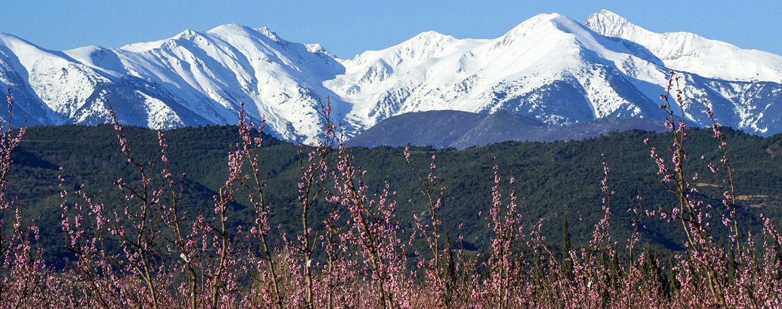 Presqu'ile - pyrenees5